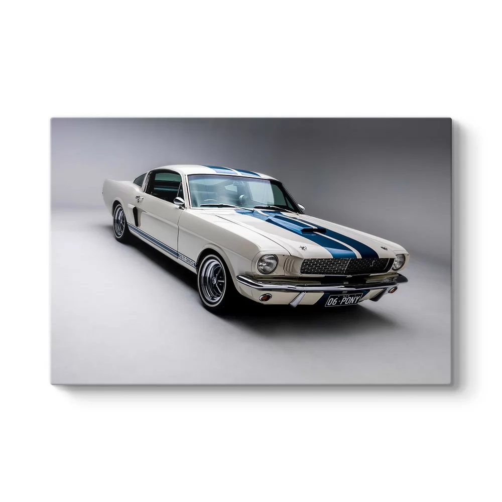 Ford Mustang Cobra Tablosu - Model 1